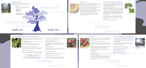 Purple Tree eight page Brochure